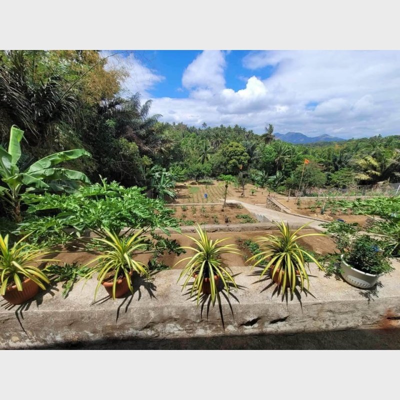Prime Property Overlooking Farmhouse Near Twinlakes Tagaytay!