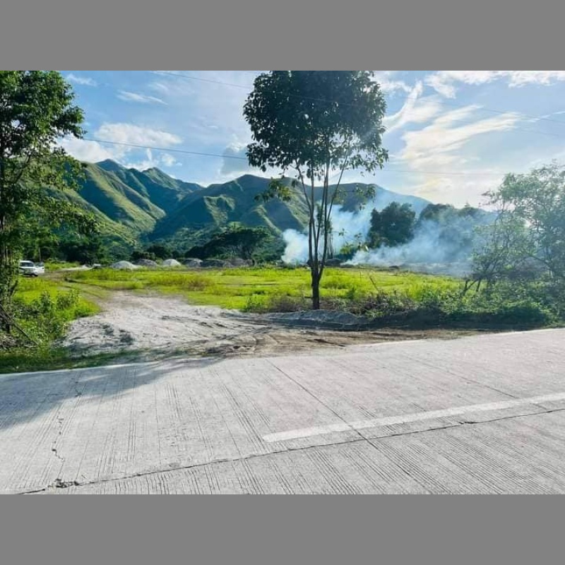 🏞️🏠 Lot for Sale: Titled, Along Cemented Road, with Mountain View in Zambales!