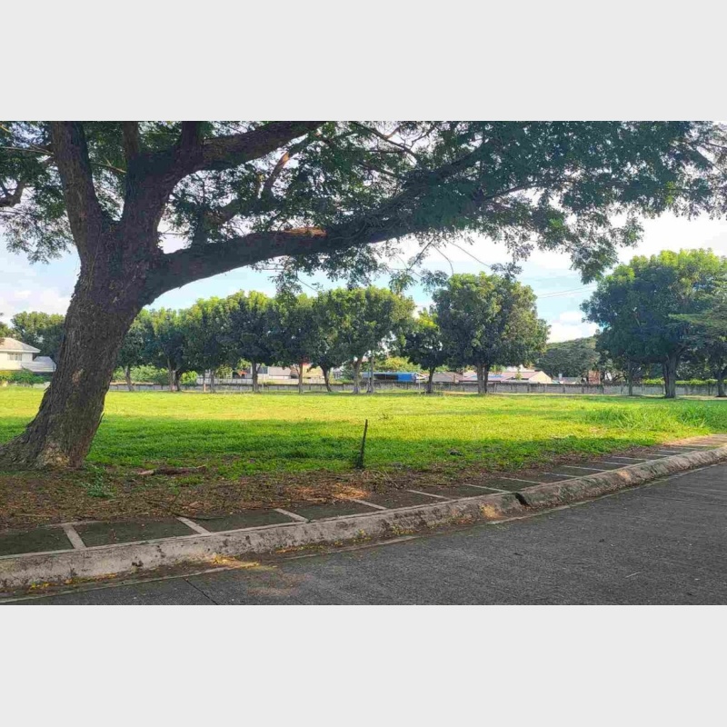Land for sale in Ayala Alabang Village, New Alabang Village, Metro Manila
