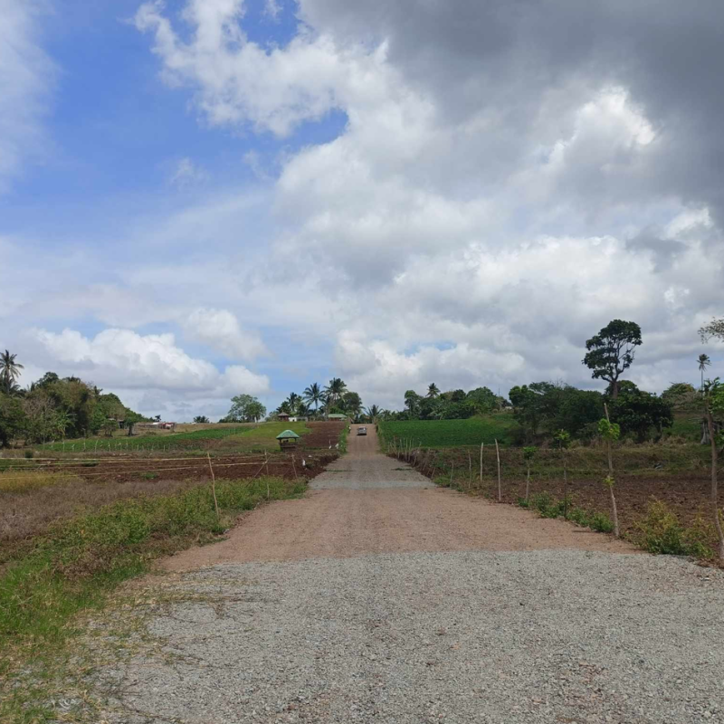 Affordable Private Farm Lot Near Tagaytay – 0% Interest, Free Title Transfer!