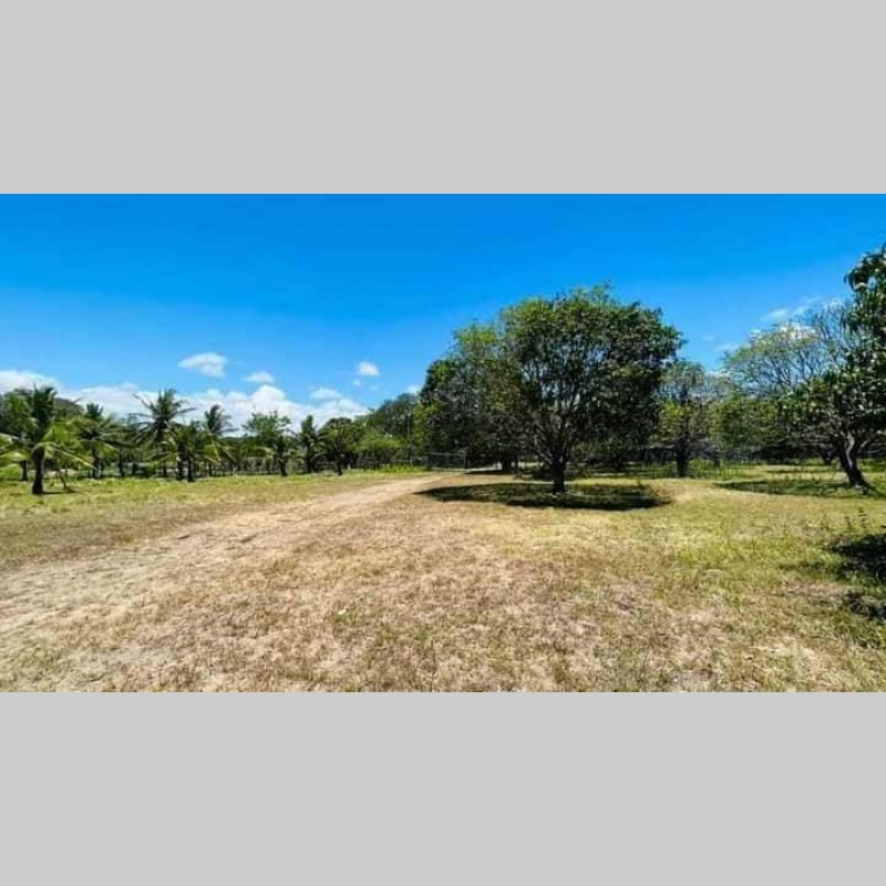 Perfect Opportunity for Your Dream Lot in San Juan, Batangas!